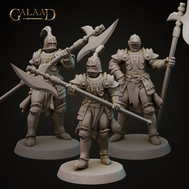 Halberd Knights Bundle